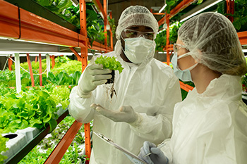 Agriculture students in greenhouse