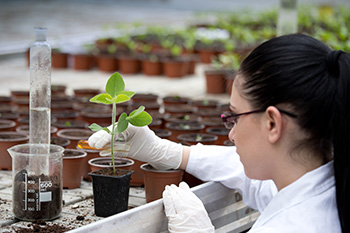 Earth sciences student in greenhouse