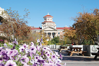 Flowers at the University of Manitoba campus